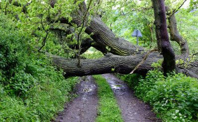 Dealing with Adversity in Life